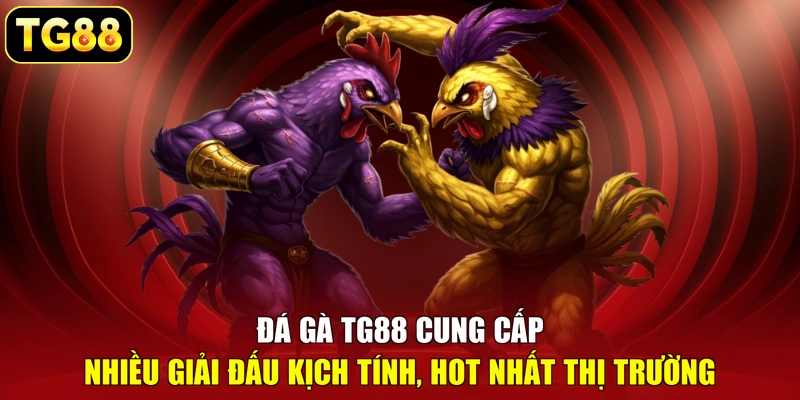 Đá gà TG88 cung cấp nhiều giải đấu kịch tính, hot nhất thị trường Đá gà TG88 cung cấp nhiều giải đấu kịch tính, hot nhất thị trường