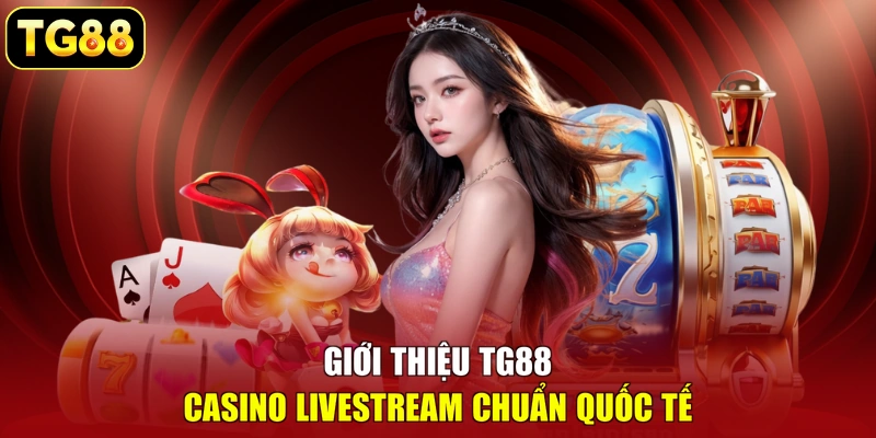 Giới thiệu TG88 casino livestream chuẩn quốc tế Giới thiệu TG88 casino livestream chuẩn quốc tế