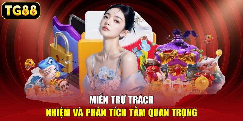 Miễn trừ trách nhiệm và phân tích tầm quan trọng Miễn trừ trách nhiệm và phân tích tầm quan trọng