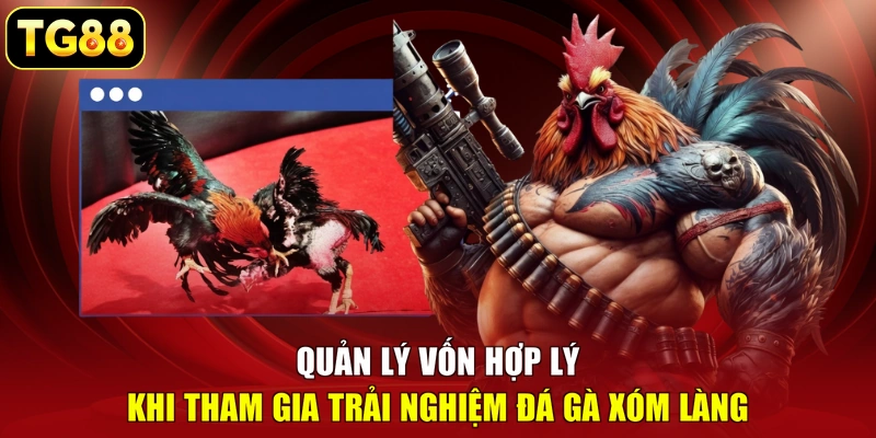 Quản lý vốn hợp lý khi tham gia trải nghiệm đá gà xóm làng